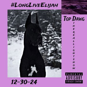 TopDawg