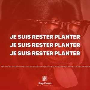 je suis rester planter