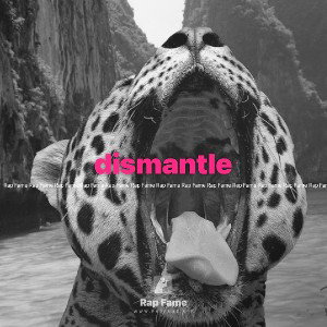 dismantle