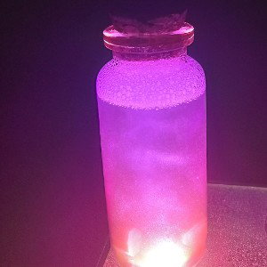 VIOLET VENOM (ФИОЛЕТОВЫЙ ВЕНОМ)