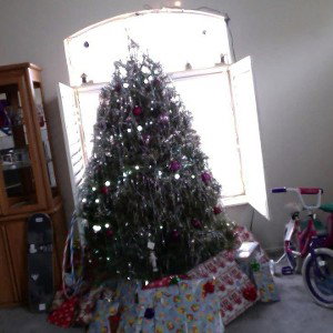TIS THE SEASON
