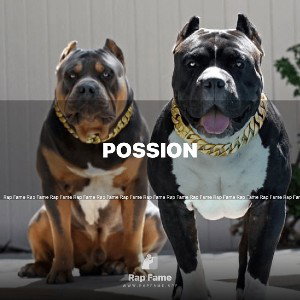 possion 
