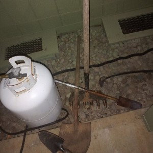 Dustin'ShitzOff