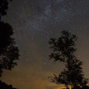 Stars 