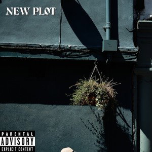 New Plot
