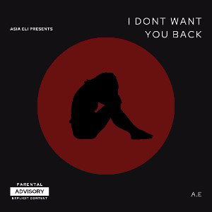 I dont want you back - A.E 