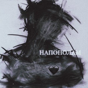 Напополам