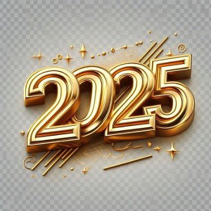 ***2025***