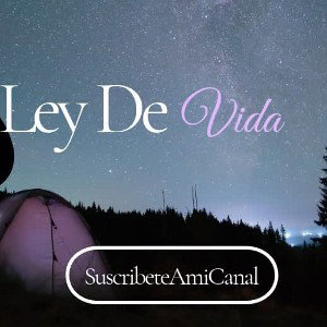 Ley De Vida Joiber Jy & Niño Tímido 