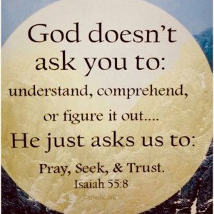 pray ,seek trust omega 