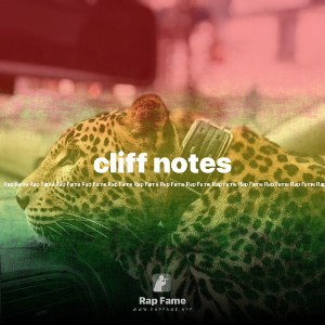 cliff notes