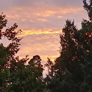 This life is hard (first song)