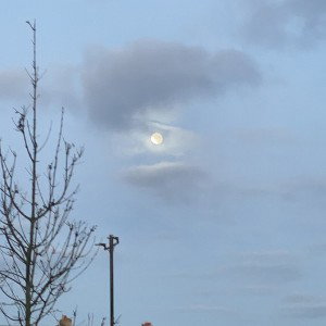 Finding the light - Kwoky15