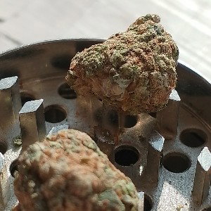 G13