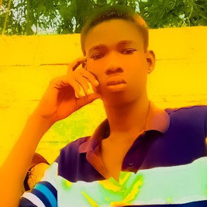 king bg_20241118_152518