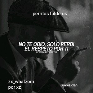 perritos falderos 