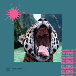 PG-Profit