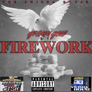 Fire Work