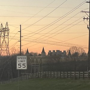 Red Queen Demise