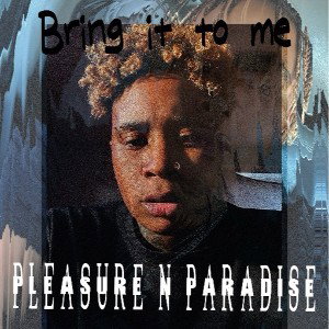 Bring it to me - Pleasure N Paradise