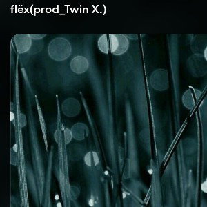 flëx(prod_Twin X.)