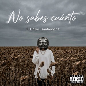 No sabes cuánto 