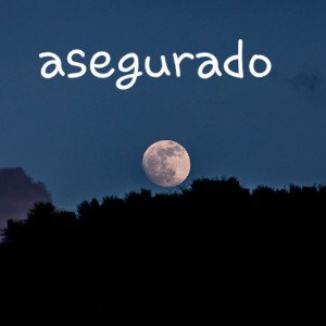🤑 asegurado 🤑