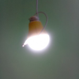 RiSi