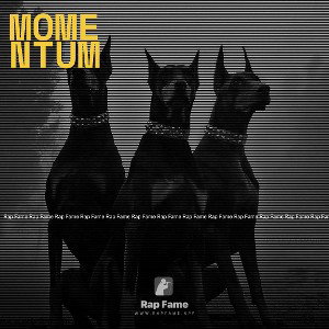 momentum 