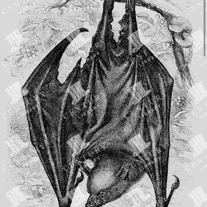 Steel Bat