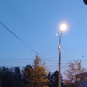 жизнь