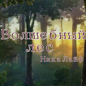 Волшебный Лес