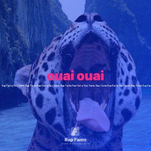 ouai ouai