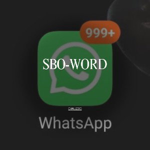 Sbo-word