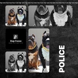 police 