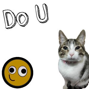 Do U