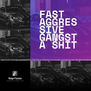 Fast Aggressive Gangsta Shit☠️