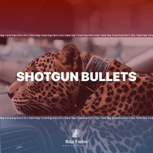 Shotgun bullets