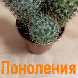 Поколения