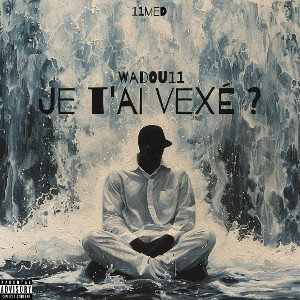 je t'ai vexé ? 
