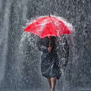 umbrella