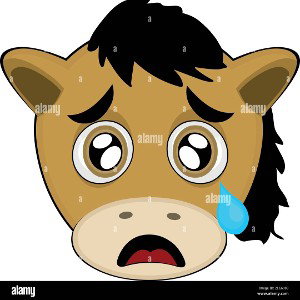 triste poney