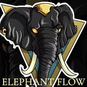 Elephant Flow