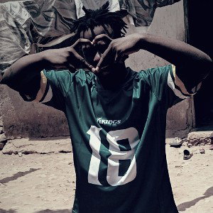 Wanyama