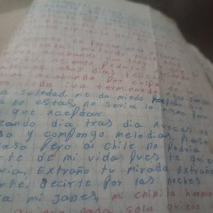teoría cintergica 