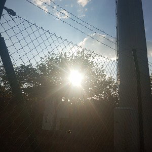 como bomba moloto adivina quién debería salir