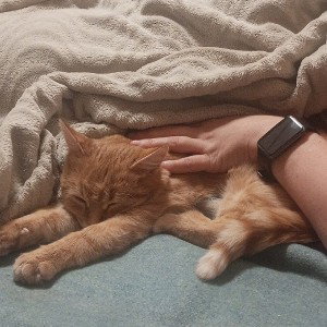 говно поносище 