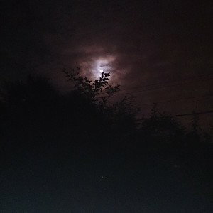 TkDaGr8t - Dark Nights 