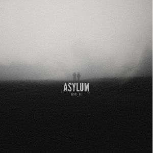 Asylum