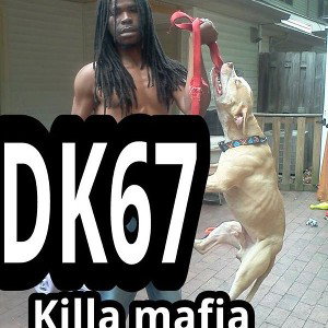 DK67 - LIONHEART SHARKS